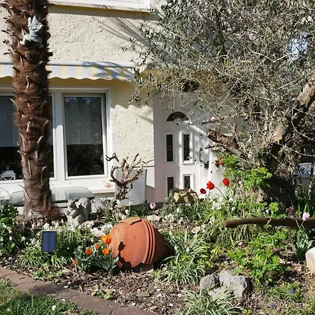 Palmengarten 바트혼네프암라인