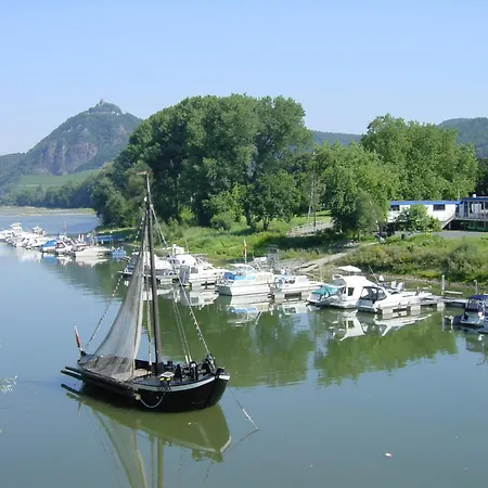 Palmengarten * Bad Honnef