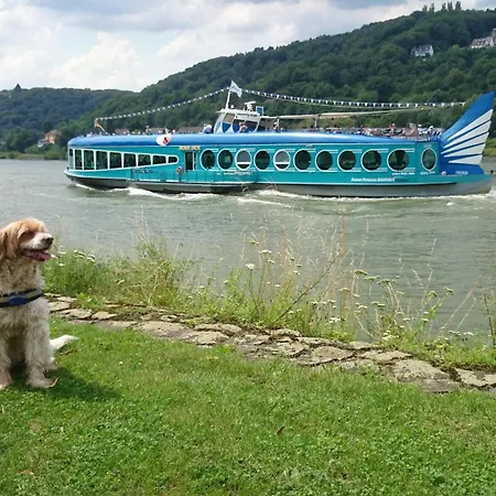 Palmengarten * Bad Honnef