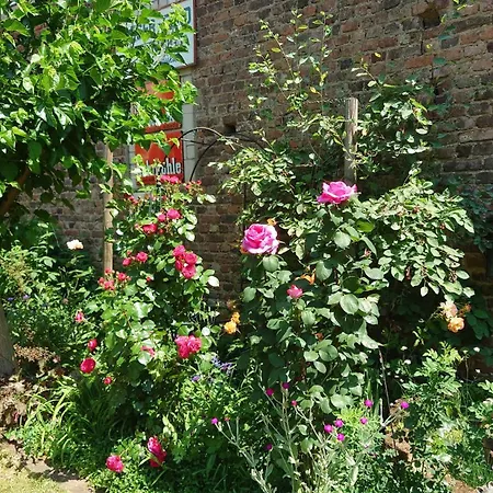 Palmengarten Bad Honnef