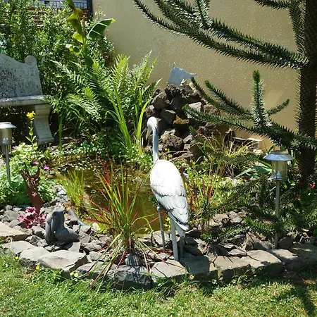 Palmengarten Bad Honnef