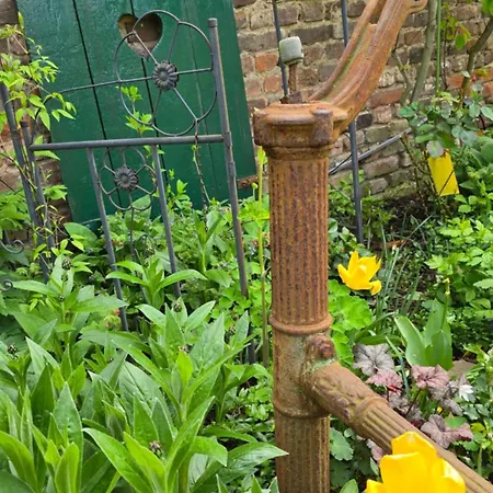 Palmengarten * Bad Honnef