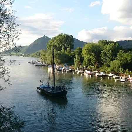 Apartament Palmengarten *