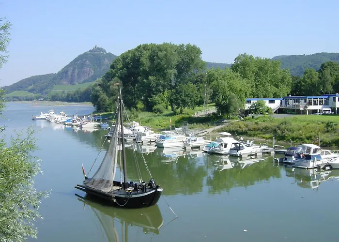 Palmengarten * Bad Honnef