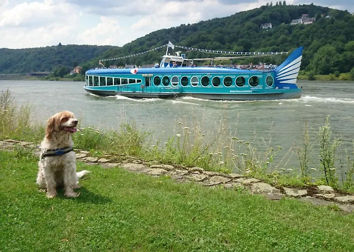 Palmengarten * Bad Honnef