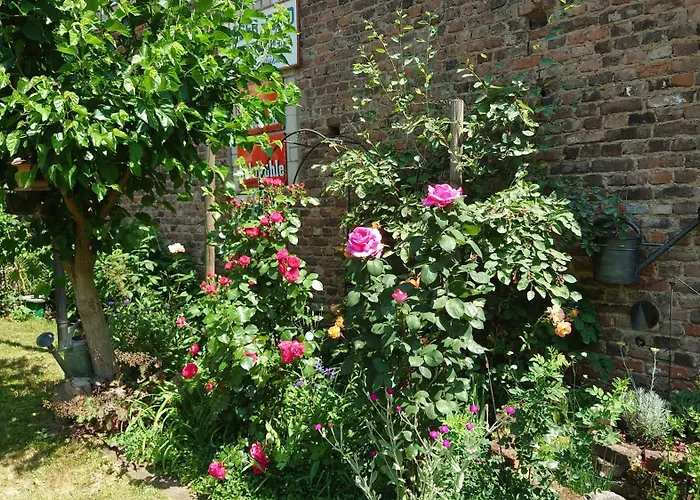 Palmengarten Bad Honnef