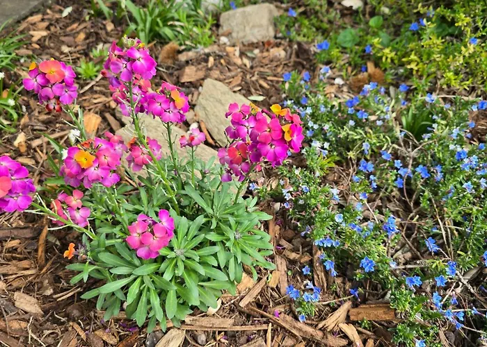 Palmengarten Bad Honnef