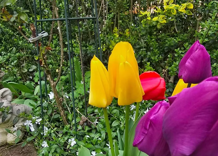 Palmengarten Apartamento Bad Honnef