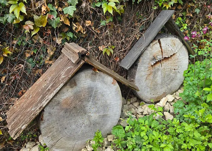 Palmengarten Apartamento Bad Honnef