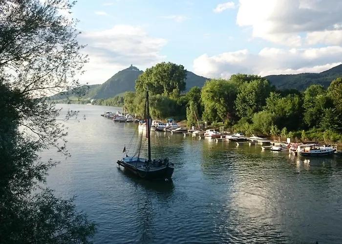 Apartamento Palmengarten *